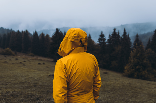 Rear view of a man man in yellow jacket walking in the autumn forest looking at the mountain peaks in Carpathians, Ukraine