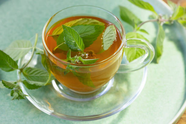 té verde con menta en un bol transparente. alimentos saludables, antioxidantes. - menta piperina fotografías e imágenes de stock