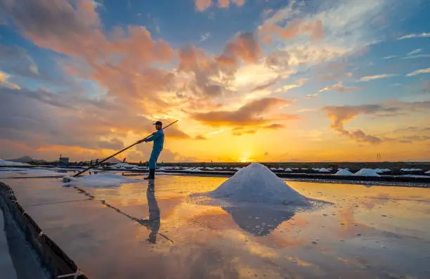 Photo of Collecting salt on salt field