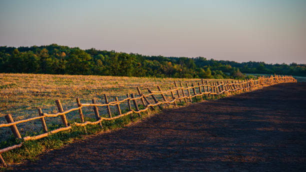 wooden fence on the background of the field on a summer evening. - old dirt road imagens e fotografias de stock