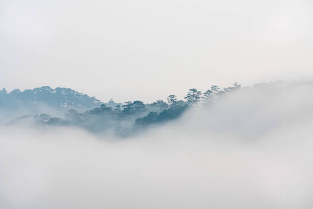 Foggy day on Tuy Son Trai Mat, Da Lat, Lam Dong province, central highlands Vietnam