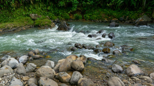 istock River stream with mountain rocks. River and stones with forest landscape 1418213299