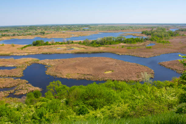 istock delta of vorskla river 1418217055