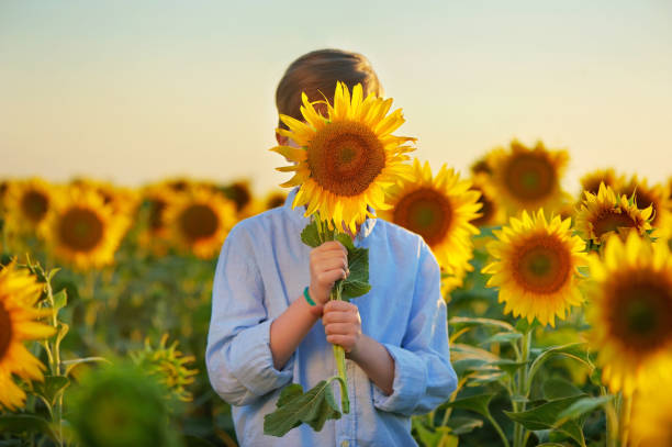 istock Boy hiding face behind the blooming sunflower 1418221775