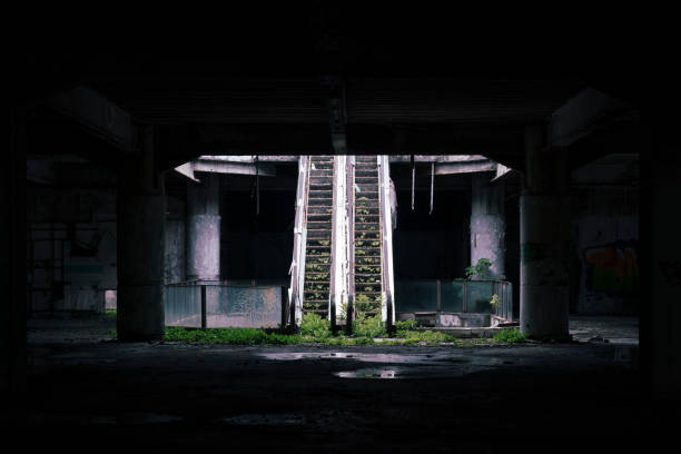 Abandoned building with weeds growing on the escalator Abandoned building with weeds growing on the escalator abandoned place stock pictures, royalty-free photos & images