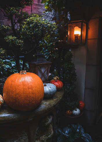 Selection of wet Halloween pumpkins background with pumpkins and acorns on display on rain