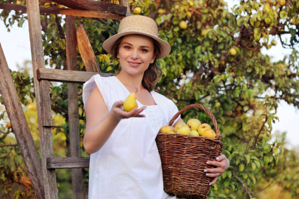 istock Woman presenting pear fruit at the farm 1418225884
