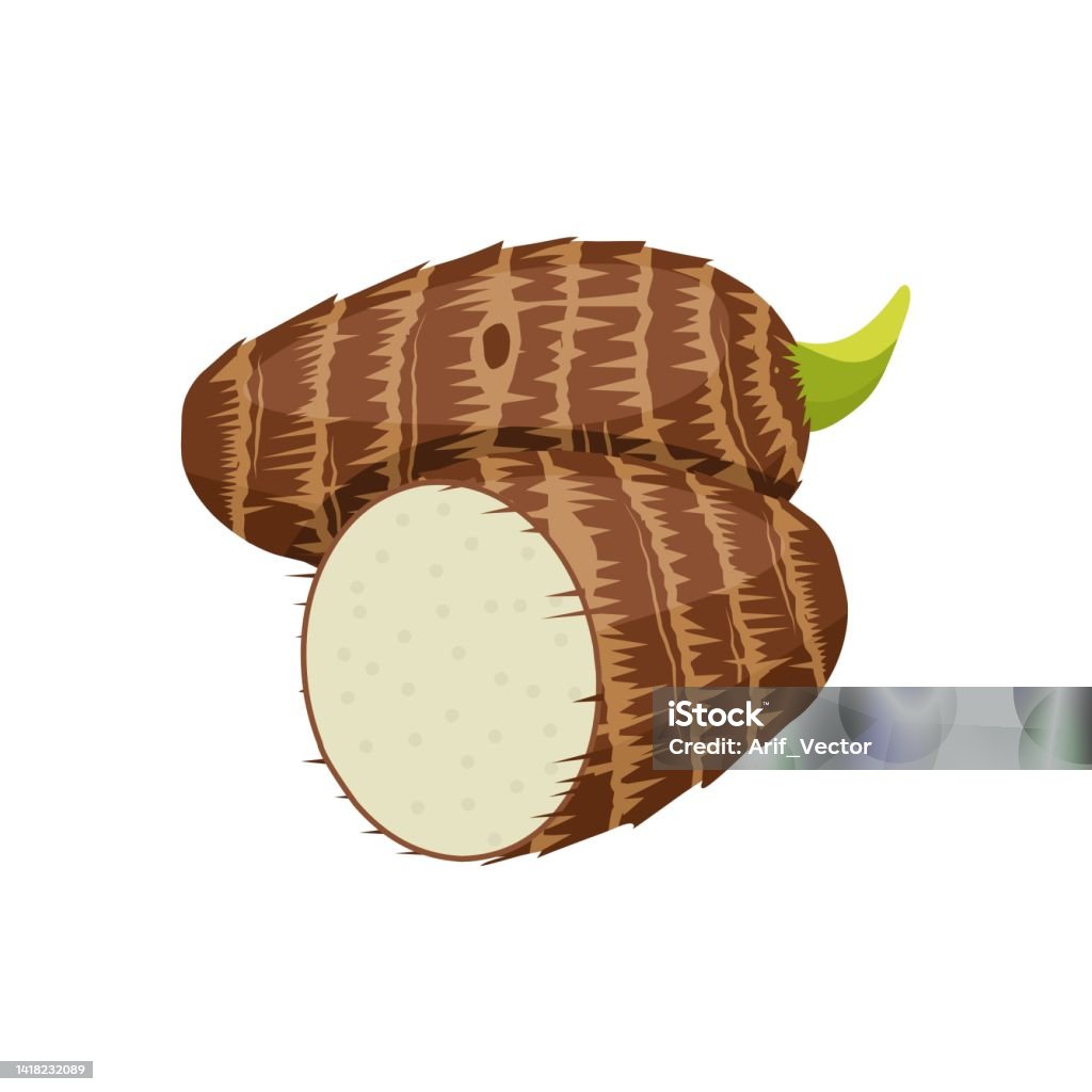 Taro Root Sticker Taro Root Stock Illustration - Download Image Now - Agriculture ...