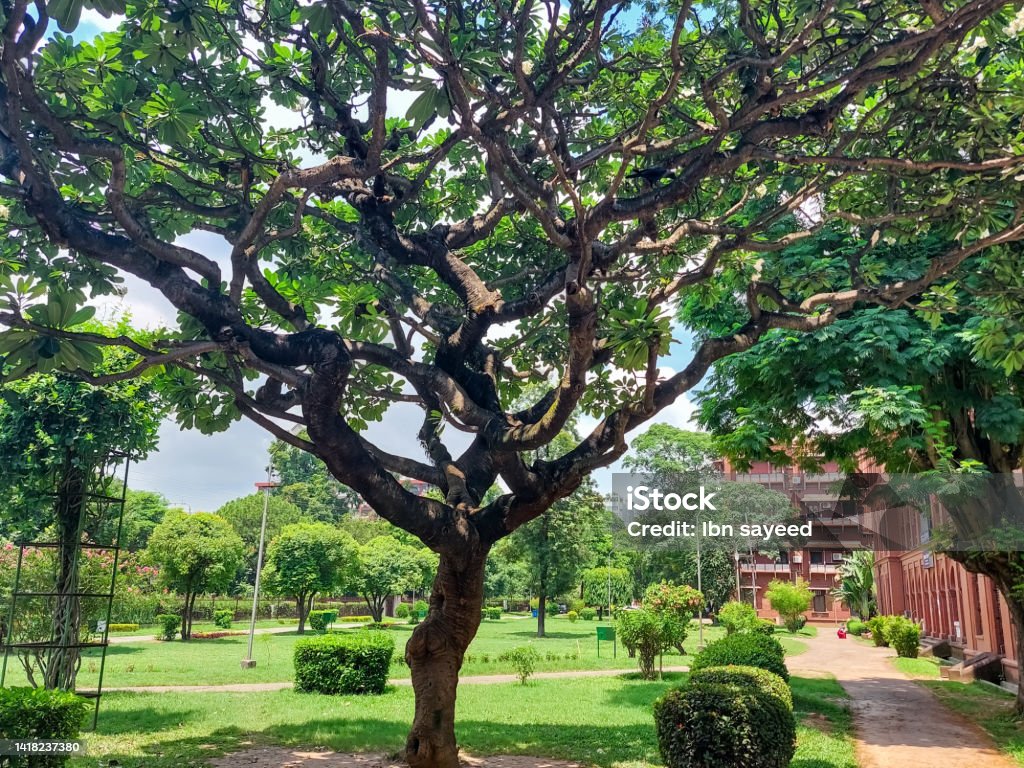 beauty of curzon hall of university of dhaka in bangladesh Architecture Stock Photo