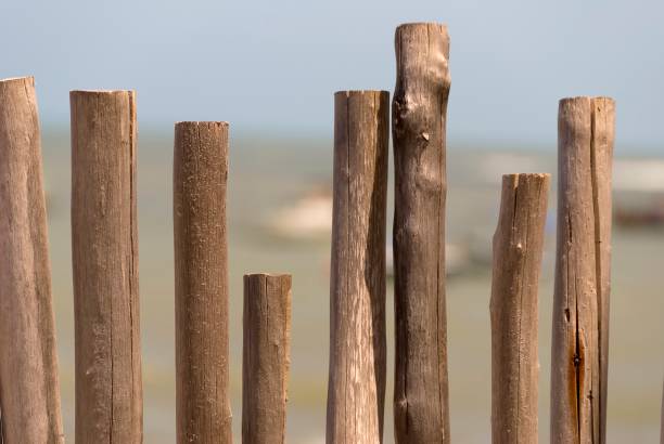 istock Rustic wooden fence on the beach seen close up. 1418244775