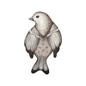 istock Watercolor illustration of a bird on a white background 1418252719