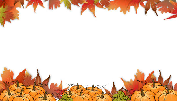 호박과 단풍 나무 잎 테두리가있는 가을 배경,수확 축제 배경을위한 잎의 여러 색상의 가을 템플릿 디자인, 벡터는 추수 감사절 축제를위한 복사 공간이있는 프레임을 남깁니다. - tree autumn thanksgiving leaf stock illustrations