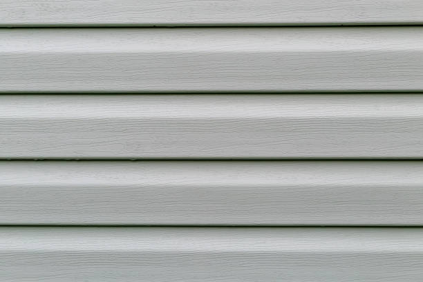 istock The surface of the pistachio plastic siding is a close-up as a background. Abstraction. 1418256507