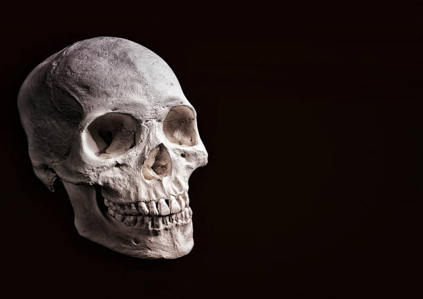 istock Ominous human skull on dark background with copy space 1418258351