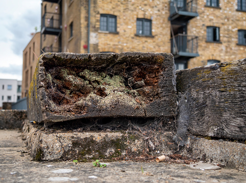 Rotten wood on a quayside