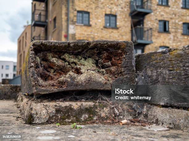 Rotten Wood On A Quayside Stock Photo - Download Image Now - Aging Process, Bad Condition, Bermondsey