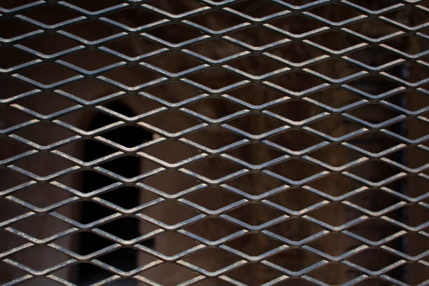 istock Iron wire mesh in front of the old door 1418259500