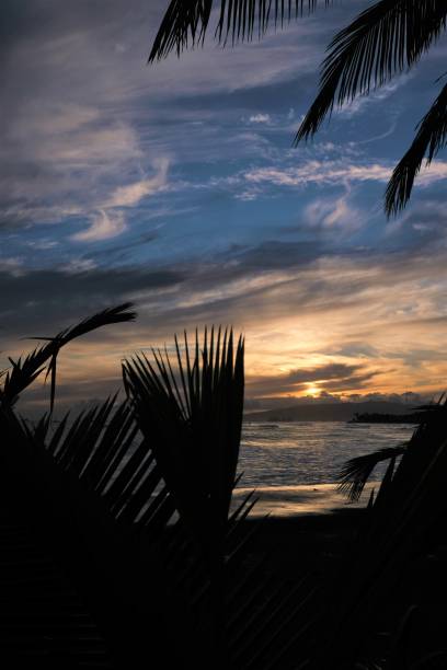 istock Peek a boo view of sunset through palms 1418262976