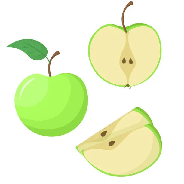 Vector illustration of Apple whole and cut isolated on white background. flat style