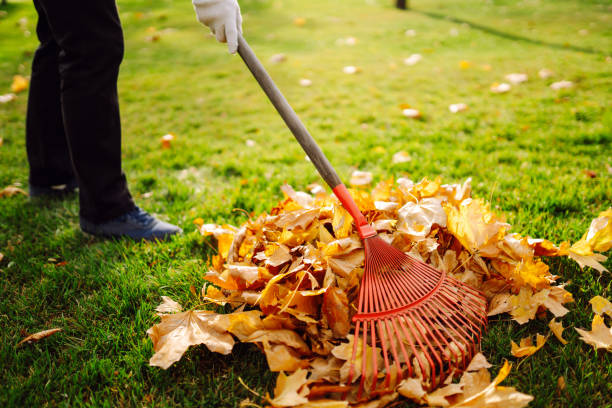 istock Rake with fallen leaves in autumn. 1418264073