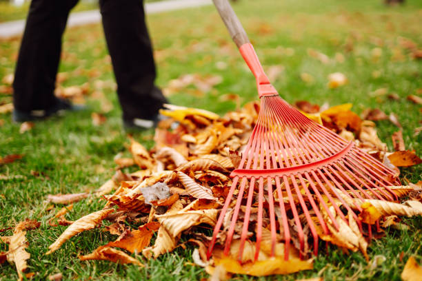 istock Rake with fallen leaves in autumn. 1418264105