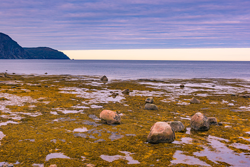 erosion of the Baltic Sea coast by strong winds, environmental problem