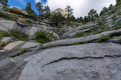 Aguirre Springs in monsoon season, with waters high and vegetation green, a view looking up toward sugarloaf, revealing rocky crags and and forest, with water cascading through the middle