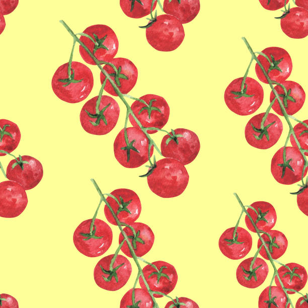 ilustraciones, imágenes clip art, dibujos animados e iconos de stock de acuarela de tomate. patrón sin costuras con tomates cherry. fondo para textiles, papel pintado, embalaje, ropa de cama y oficina. - n64
