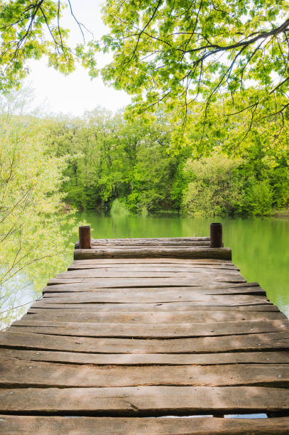 Wooden pier over the lake on a sunny spring day, silence and relaxation, meditation and reflection