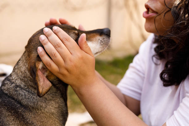 istock Woman petting a dog 1418281725