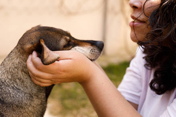 istock Woman petting a dog 1418281726