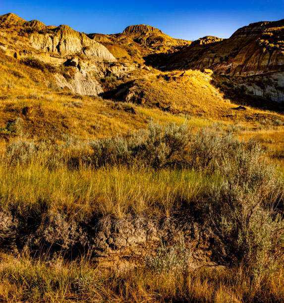 istock A drive through Dinosaur Provincial Park Alberta Canada 1418282881
