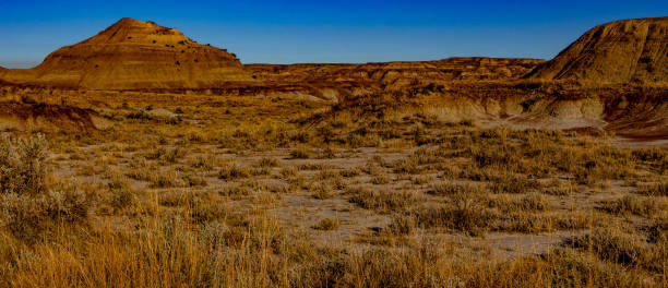 istock A drive through Dinosaur Provincial Park Alberta Canada 1418282971