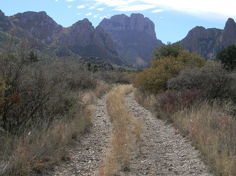 Trail to Maple Canyon in Big Bend National Park, Texas