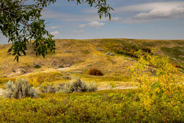 istock Fall in the badlands. Midland Provincial Park, Alberta, Canada 1418284653