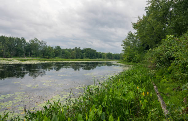 istock Petrie Island Park，Ottawa 1418284863
