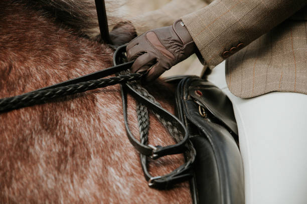 istock Closeup of Saddle on Horse 1418285699