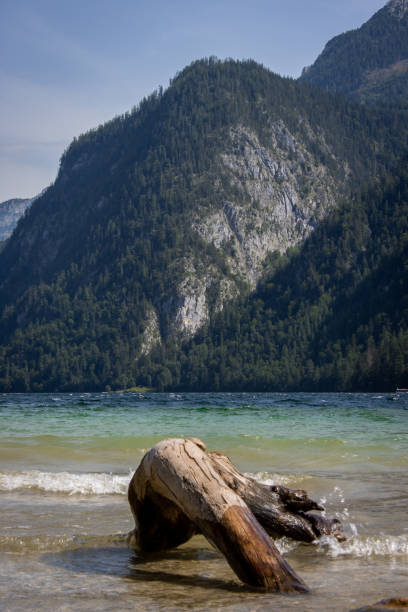 вид на горы с красивым озером и ответвлениями на пляже - lake alaska mountain mountain range �стоковые фото и изображения