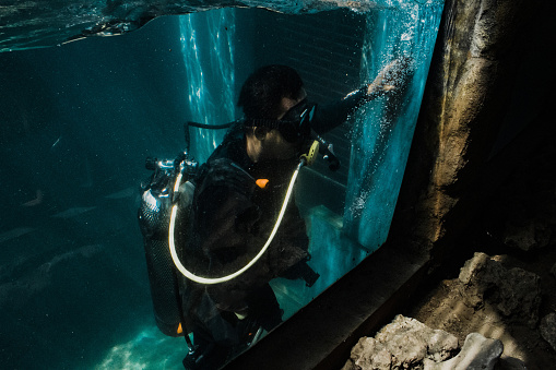 scuba diver cleans fish tank
