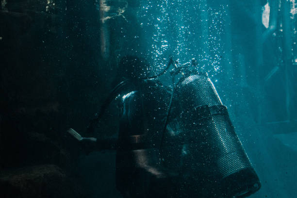 scuba diver cleans fish tank