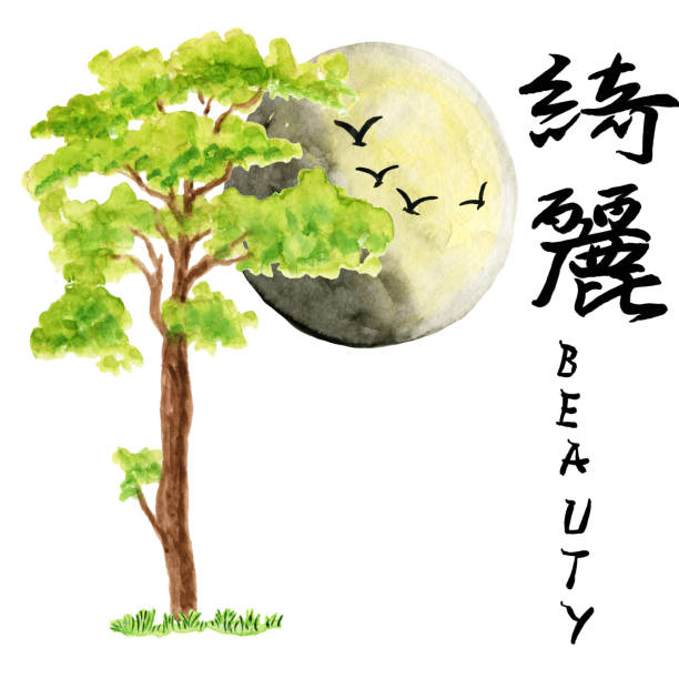 akwarelowe ilustracje azji . drzewo na tle słońca. bonsai, sosna, ręcznie rysowane tuszem, kaligrafia, hieroglify. - bamboo watercolor painting isolated ink and brush stock illustrations