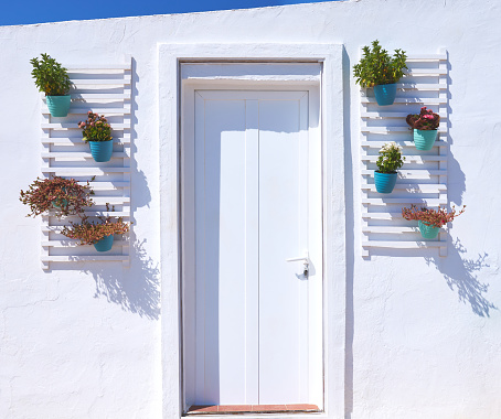 detail of a white door on a white wall with flowerpots