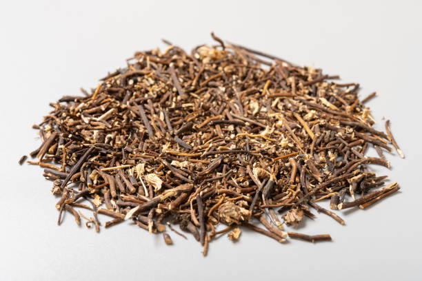 istock angle view herb WeiLingXian or Clematidis Radix et Rhizoma or Chinese Clematis Root and Rhizome 1418314621
