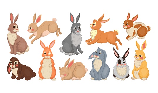 Bunny rabbit and easter hare. Cute animal drawing different breeds, farm baby pet set, color happy forest character, standing jumping and sitting rodent. Domestic mammals. Vector cartoon collection