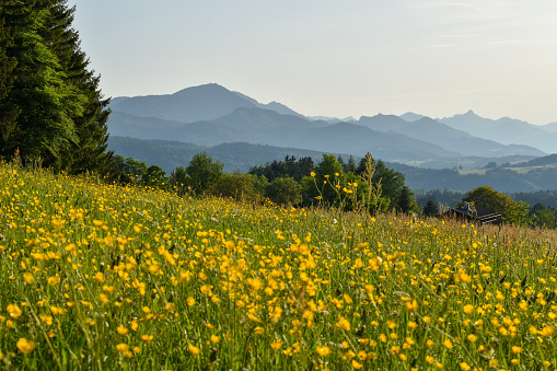 beautiful view of alpine foothills scenery, Bavaria, Germany