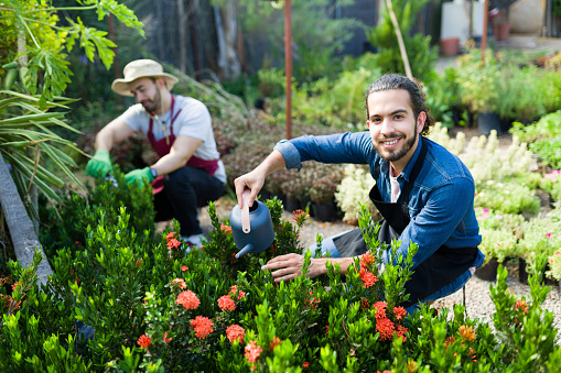 Handsome hispanic man smiling and making eye contact at the nursery garden while watering and taking care of the plants