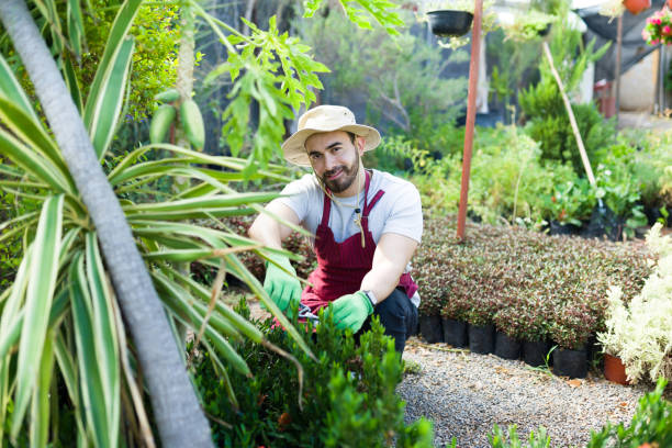 istock Handsome young man enjoying gardening 1418329651