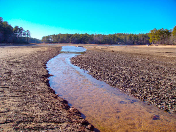 Winter Walk at the Lake Winter walk on the dry lake bed, Lake Martin, Alabama - winding stream, water source dry riverbed stock pictures, royalty-free photos & images