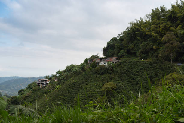 istock Rural houses on a mountain surrounded by trees. Colombia. 1418330671