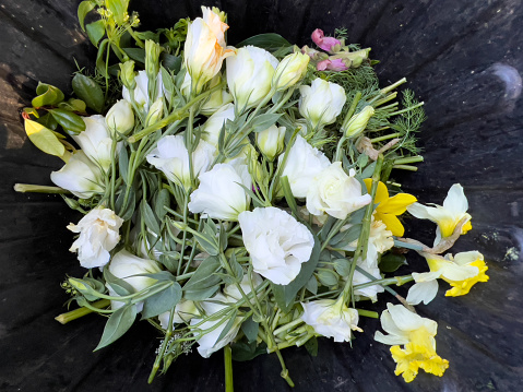 Horizontal high angle closeup photo of faded or damaged daffodil and Lisianthus or Eustoma leaves, buds and flowers thrown into a black plastic garbage bin for recycling as compost.